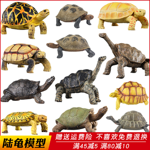 仿真野生动物模型加拉帕戈斯象龟玩具陆龟乌龟儿童认知礼物摆件