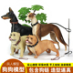 仿真动物模型宠物狗狗灵缇斗牛犬杜宾恶霸犬塑料手办兵人配件摆件