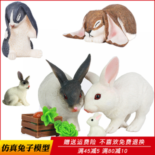仿真兔子玩具动物模型小白兔大白兔实心塑胶儿童男认知微景观礼物