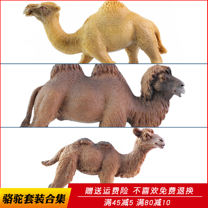 仿真双峰骆驼玩具动物模型单峰骆驼实心塑胶儿童男孩