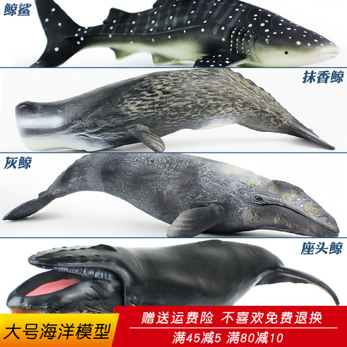 仿真模型灰鲸儿童男孩海洋生物