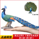 仿真孔雀玩具动物鸟类模型儿童科教认知礼物塑料摆件