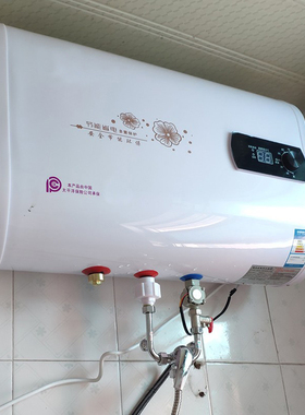 双内胆节能电热水器电家用储水式即速热小型扁桶洗澡40升60L50/80