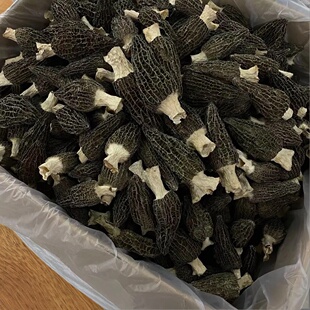 【助农专属】六妹羊肚菌7-10厘米2026年头茬新货煲汤炖汤营养特产