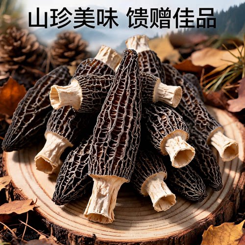 头茬精品羊肚菌无薰无硫汤鲜