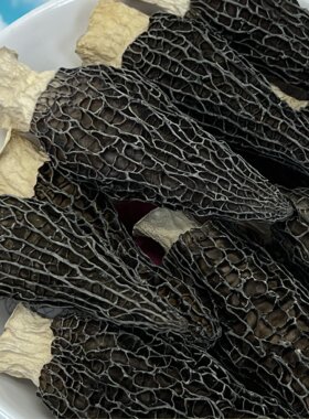 专属【六妹】羊肚菌6-8厘米26年头茬新货煲汤炖汤特产6A022868