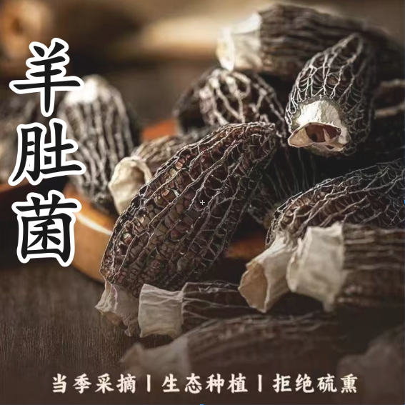 【六妹羊肚菌】3-5厘米2026年头茬云南特产新货煲汤炖汤营养特产 - 实物图