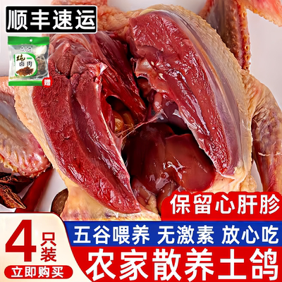 散养新鲜鸽子滋补带爪保留心肝