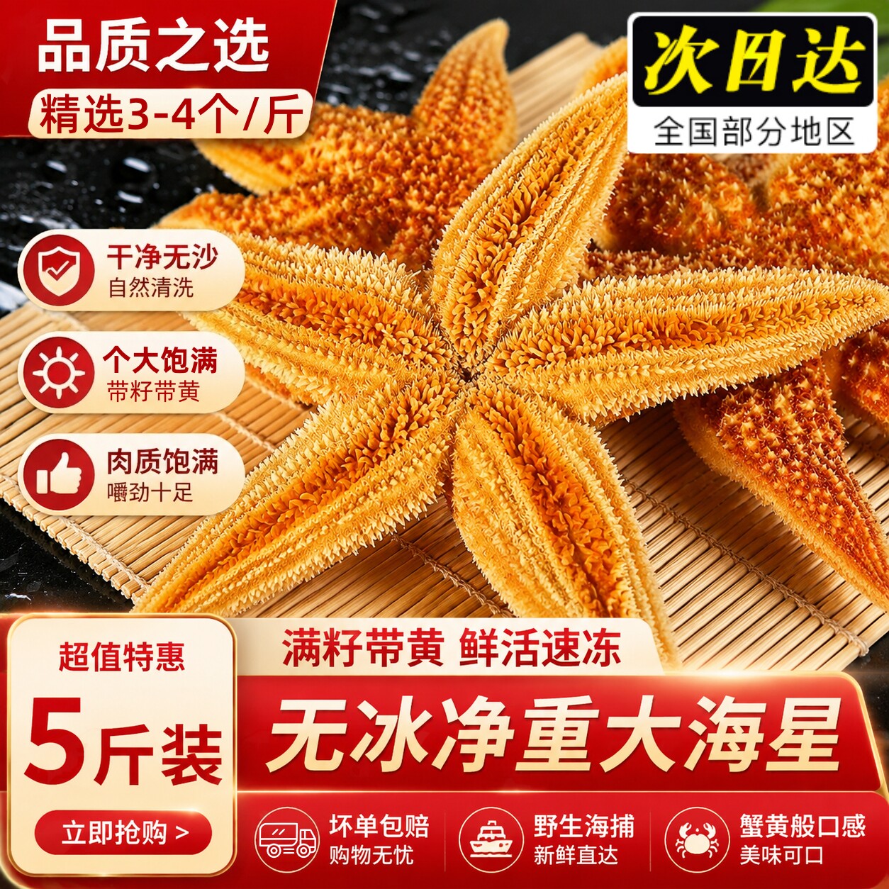无冰海星鲜活速冻蒸煮煲汤商用