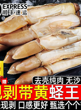 野生海捕现剥蛏子肉冷冻