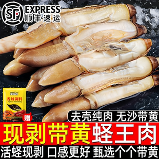 新鲜蛏王肉鲜活冷冻竹节蛏子现剥海捕野生蛏子肉贝类海鲜水产批发