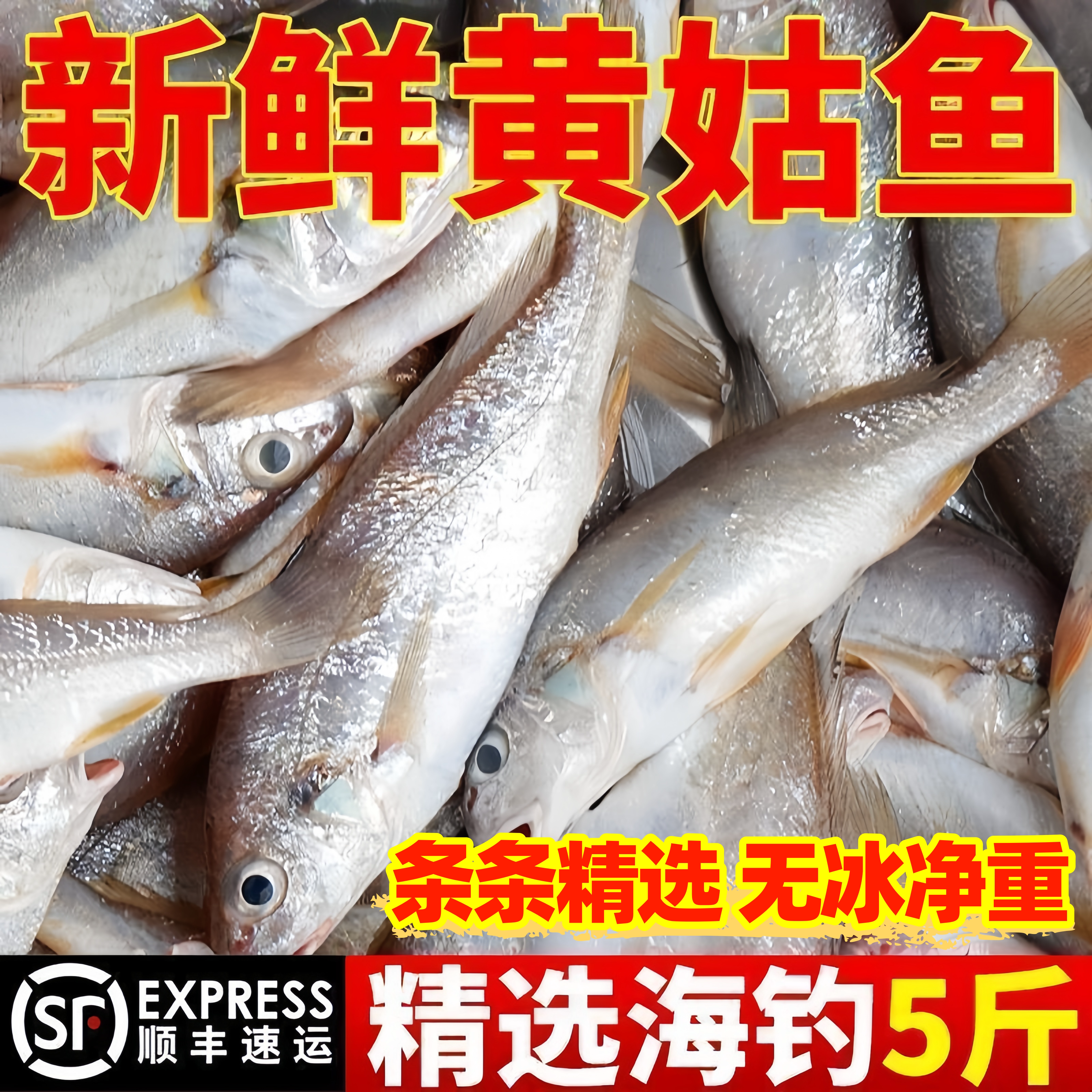 深海海捕黄姑鱼鲜冻整箱包邮