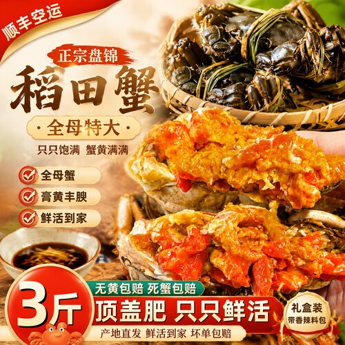 鲜活礼盒装盘锦河蟹稻田蟹河蟹