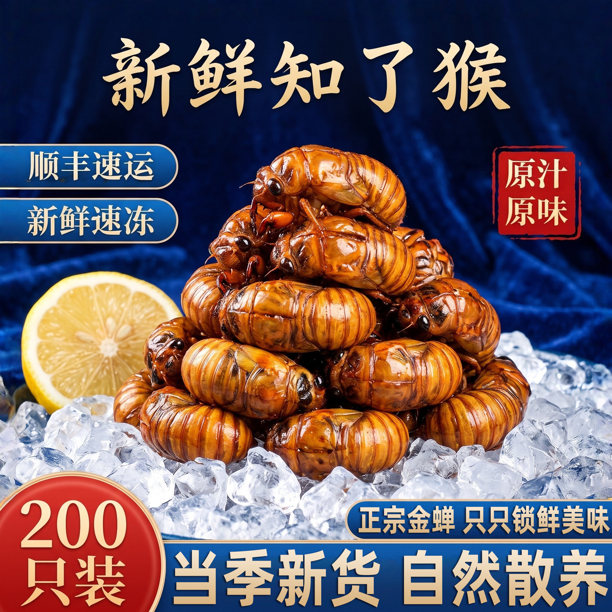 山东鲜冻金蝉知了猴顺丰