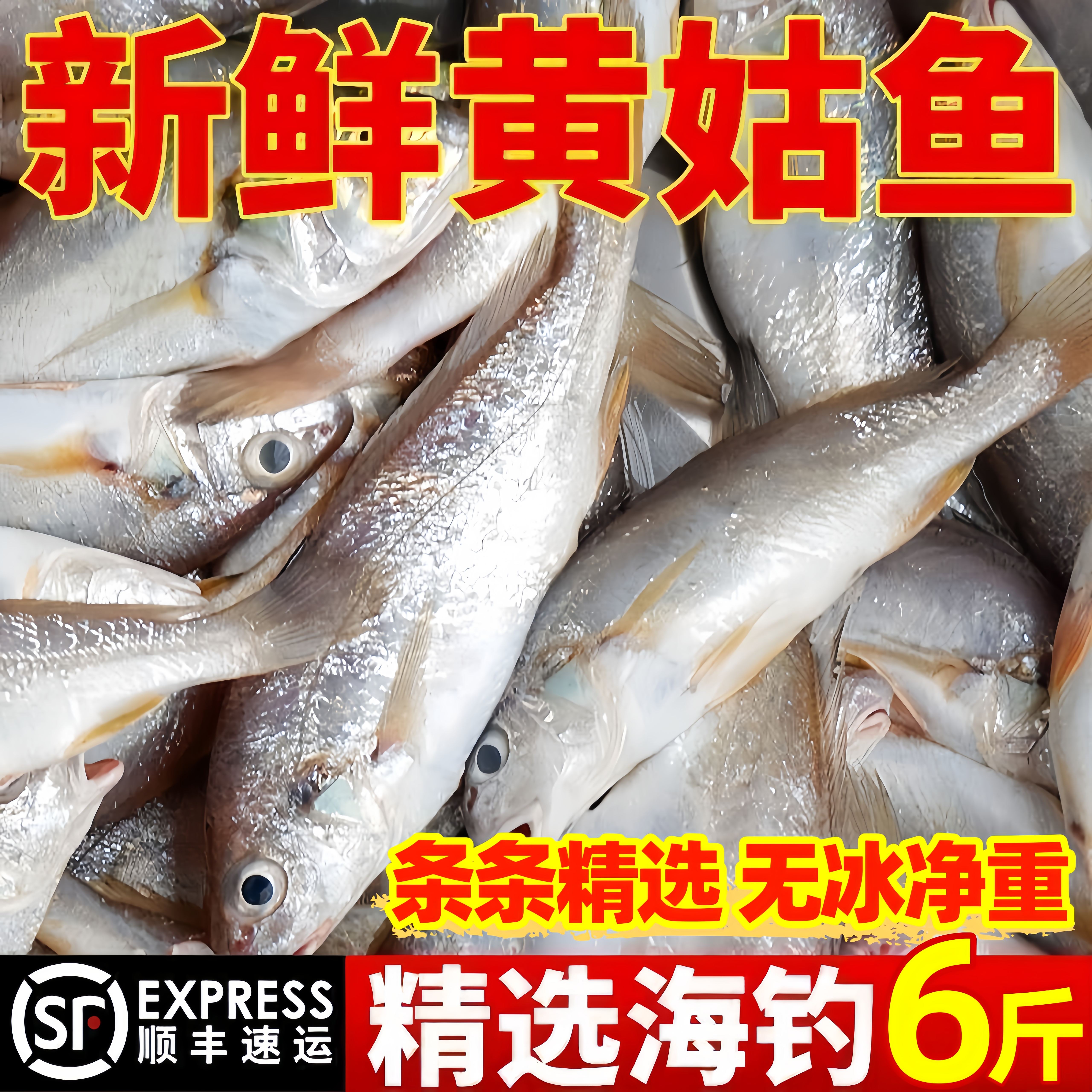深海海捕黄姑鱼鲜冻整箱包邮