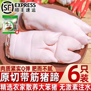 新鲜猪蹄子速冻带筋猪蹄猪脚新鲜猪手前蹄后蹄生鲜一整箱商用批发