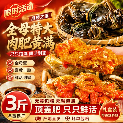盘锦全母鲜活带黄特大河蟹批发