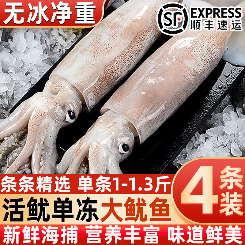 新鲜大鱿鱼冷冻整只鲜活速冻大鱿鱼新鲜速冻野生鱿鱼海捕大鱿鱼