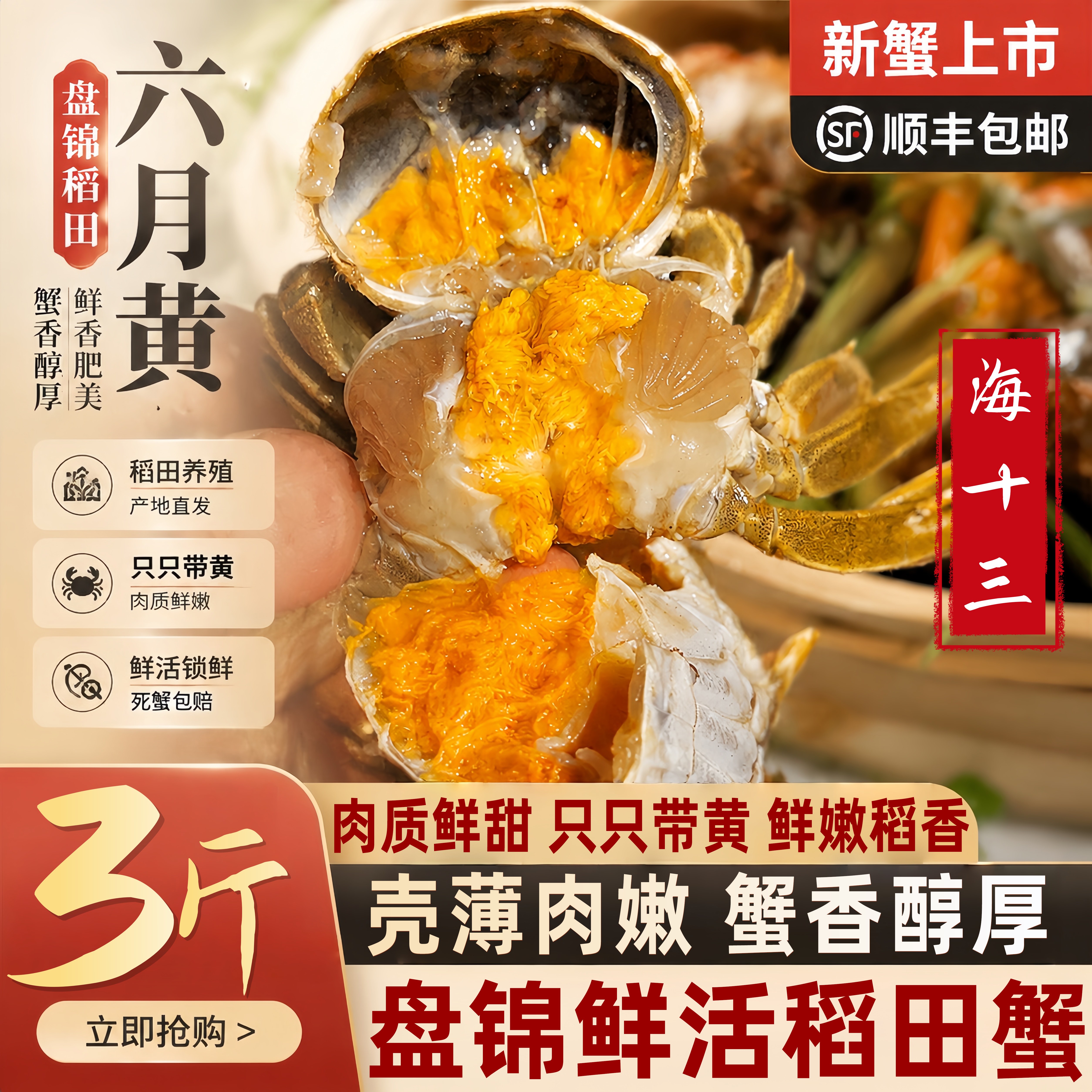 正宗鲜活六月黄盘锦稻田蟹鲜活小螃蟹盘锦河蟹大闸蟹产地直发顺丰