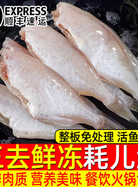 深海新鲜去皮三去冷冻马面鱼