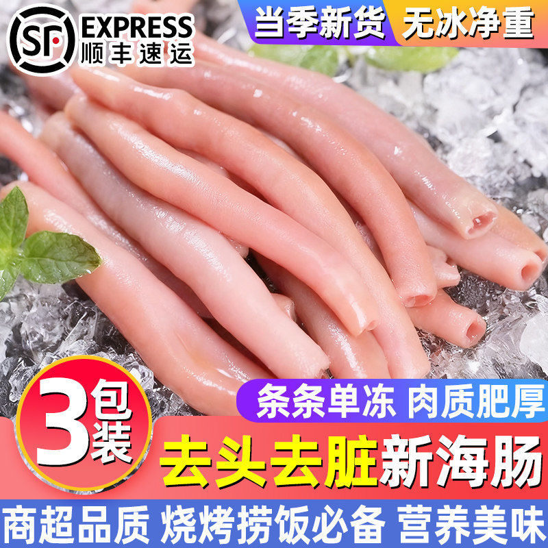 三去海肠批发新鲜速冻海肠