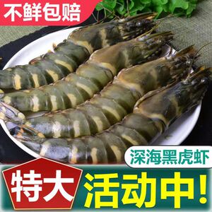 新鲜黑虎虾特大虾鲜活冷冻超大虾老虎虾九节虾海鲜顺丰包邮