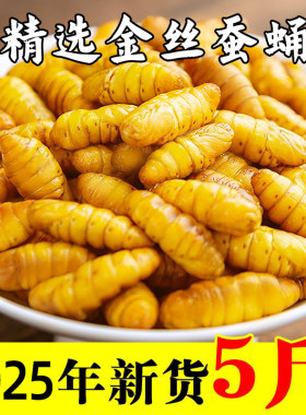 新鲜速冻金丝蚕蛹山东商用批发