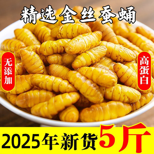 新鲜速冻金丝蚕蛹山东商用批发