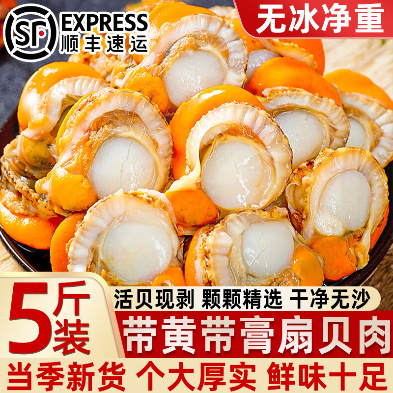 新鲜速冻特大带黄带膏扇贝肉
