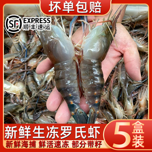 鲜活罗氏沼虾速冻大头虾淡水河淡水新鲜冷冻虾冰冻批发价青虾超大