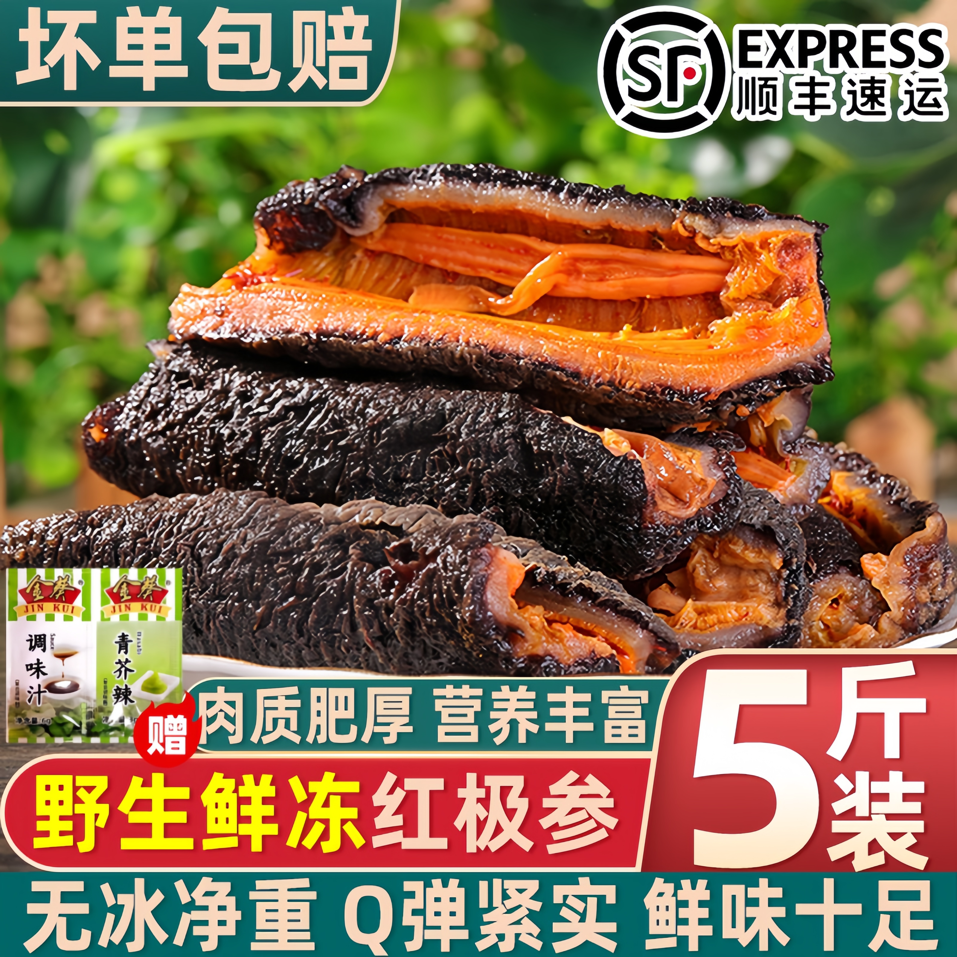 新鲜冷冻红极参冷冻海参顺丰