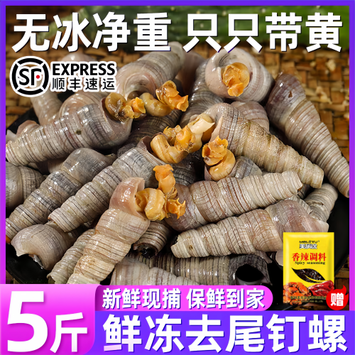 鲜活速冻去尾钉螺烧烤批发