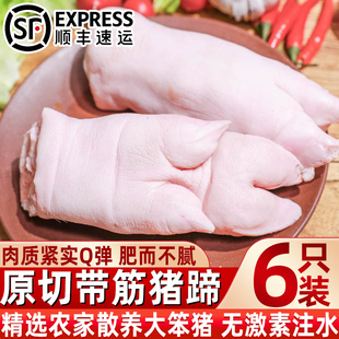 新鲜猪蹄子速冻带筋猪蹄猪脚新鲜猪手前蹄后蹄生鲜一整箱商用批发
