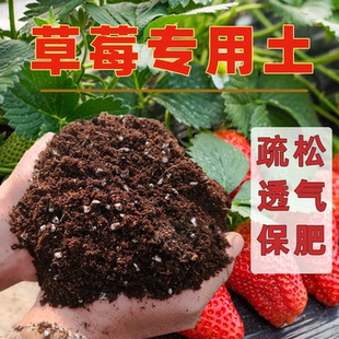 土中土草莓盆栽种植专用营养土家用阳台育苗养种花肥料泥炭营养土