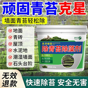 青苔清除剂水泥地强力清除蓝绿藻地面墙面老院子除青苔专用克星