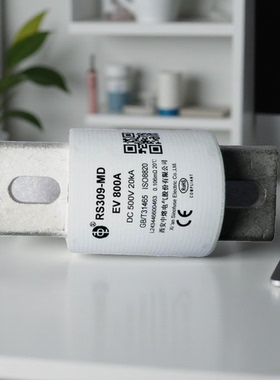 RS309-MD EV500V450A500A550A600A700A800A900A高压熔断器保险丝