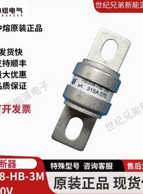 西安中熔RS308-HB-3M315A400A AC250V DC170V新能源熔断器保险丝