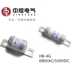 4G20A32A40A50A63A80A100A 690VAC550VDC熔断器保险 中熔RS308