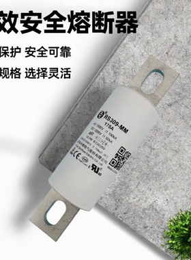 中熔RS309-MM 100A150A200A300A400A500A600A700A1000V熔断器保险