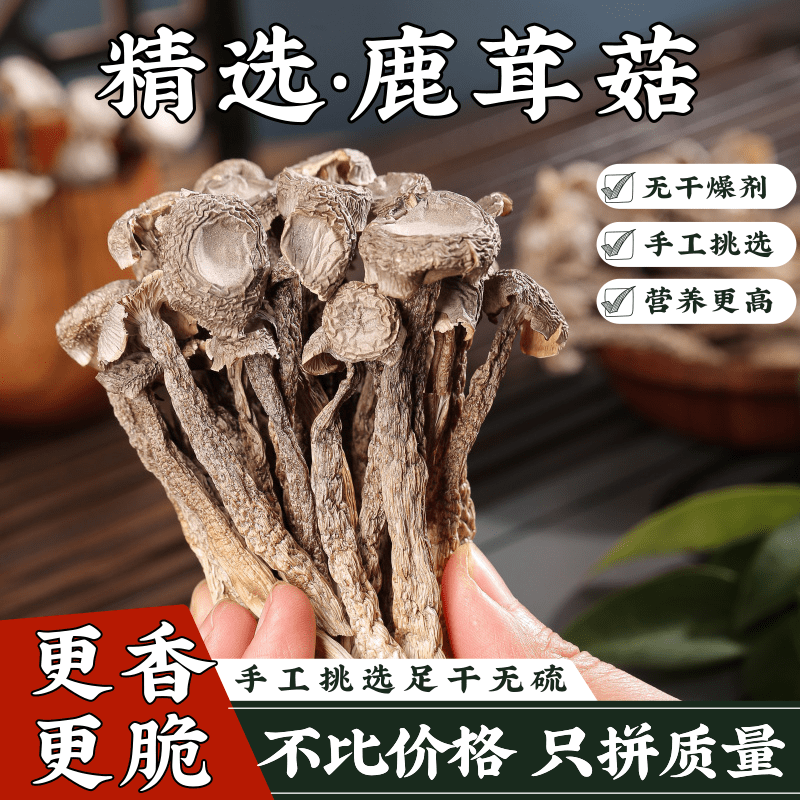 鹿茸菇干货无硫磺鹿茸菌净重500g