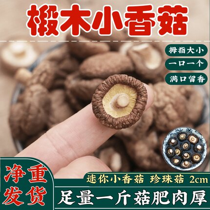 小香菇干货香菇金钱菇500g珍珠菇新鲜农家野生香菇肉厚食用农产品