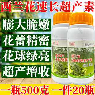 西兰花速长超产素生根壮苗膨大促长花型紧凑增绿增重西蓝花叶面肥