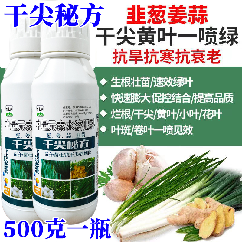 干尖秘方葱姜蒜韭菜苗齐苗壮抗干尖抗倒伏抗病增产提前上市叶面肥