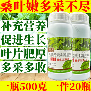 桑叶嫩多采不尽生根壮苗厚多采多收抗病促长桑叶养蚕专用叶面肥