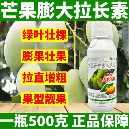 芒果膨大拉长素壮果增粗防裂靓果