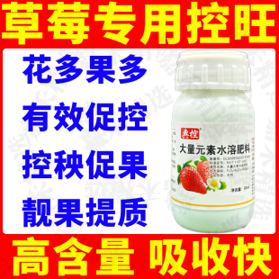 草莓控旺专用药促控剂控秧促果矮化植株不伤花果抑制疯长旺长正品