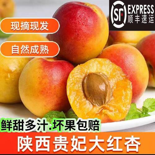新鲜胭脂贵妃大红杏现摘现发