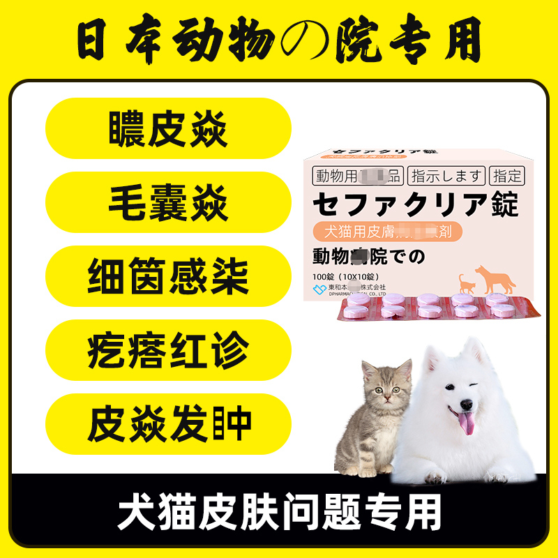 宠物狗狗猫咪皮肤问题解决