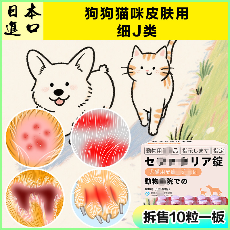 宠物狗狗猫咪皮肤问题解决
