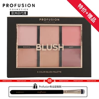 Profusion Makeup 6 Color Blush Disc Blush Powder Set Makeup Chính hãng Trang điểm màu nude Trang điểm Mỹ phẩm Thương hiệu Mỹ - Blush / Cochineal má hồng kem nars